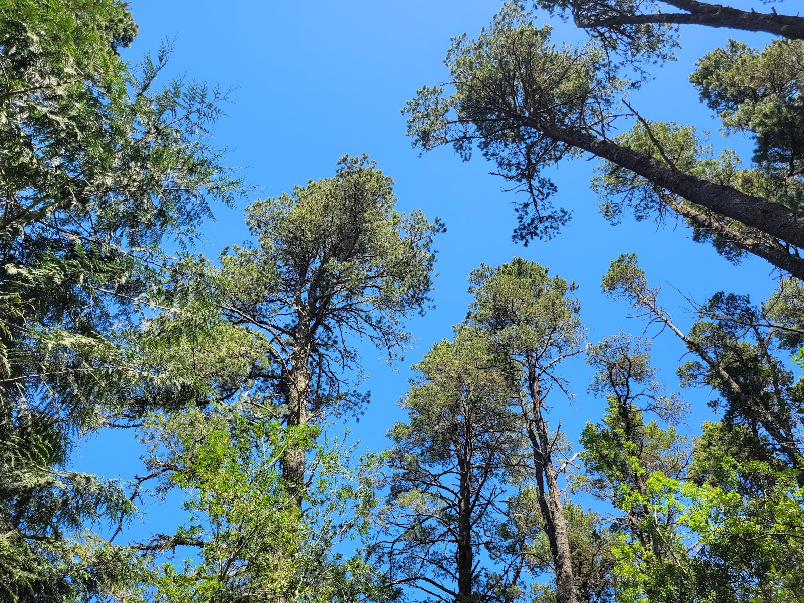 William M Tugman State Park