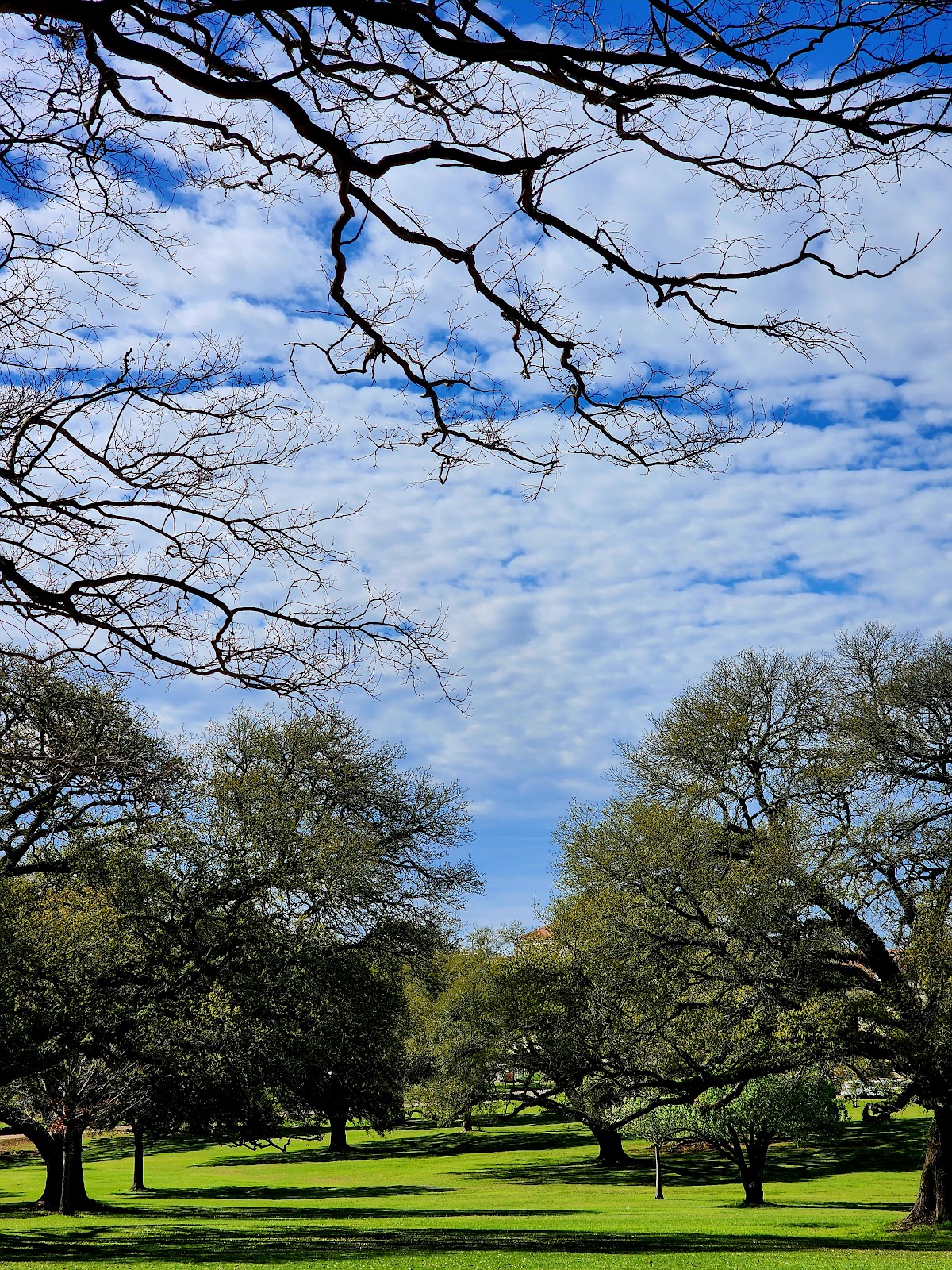 Gum Springs NF Campground