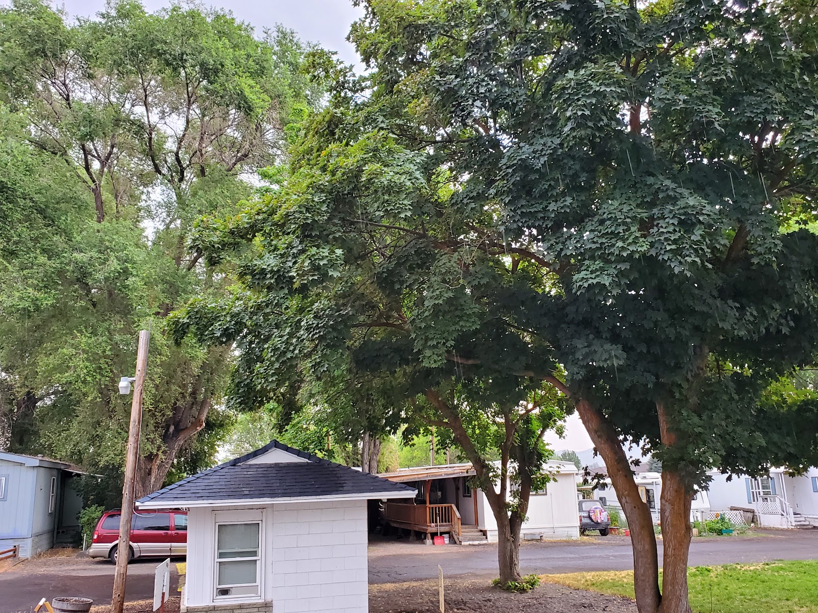 Wiseman's RV and Mobile Home Park