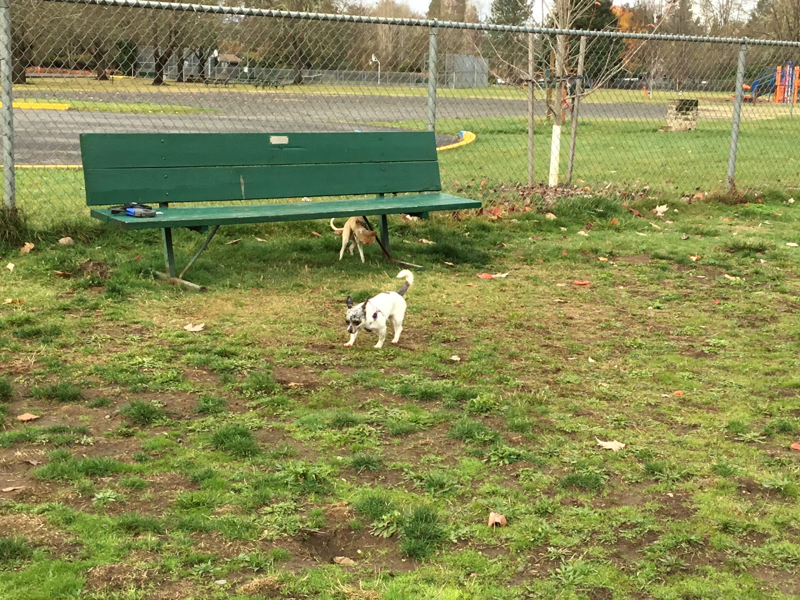 Schroeder Park - County Park