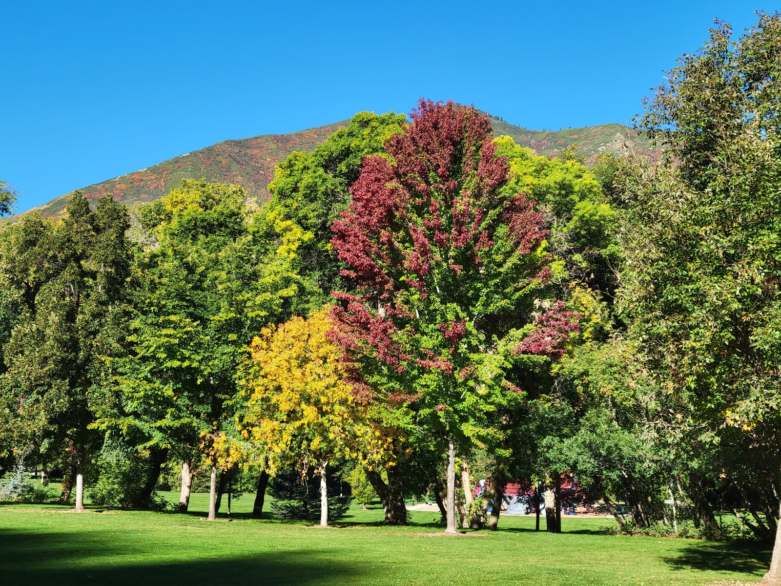 Jolley’s Ranch Campground