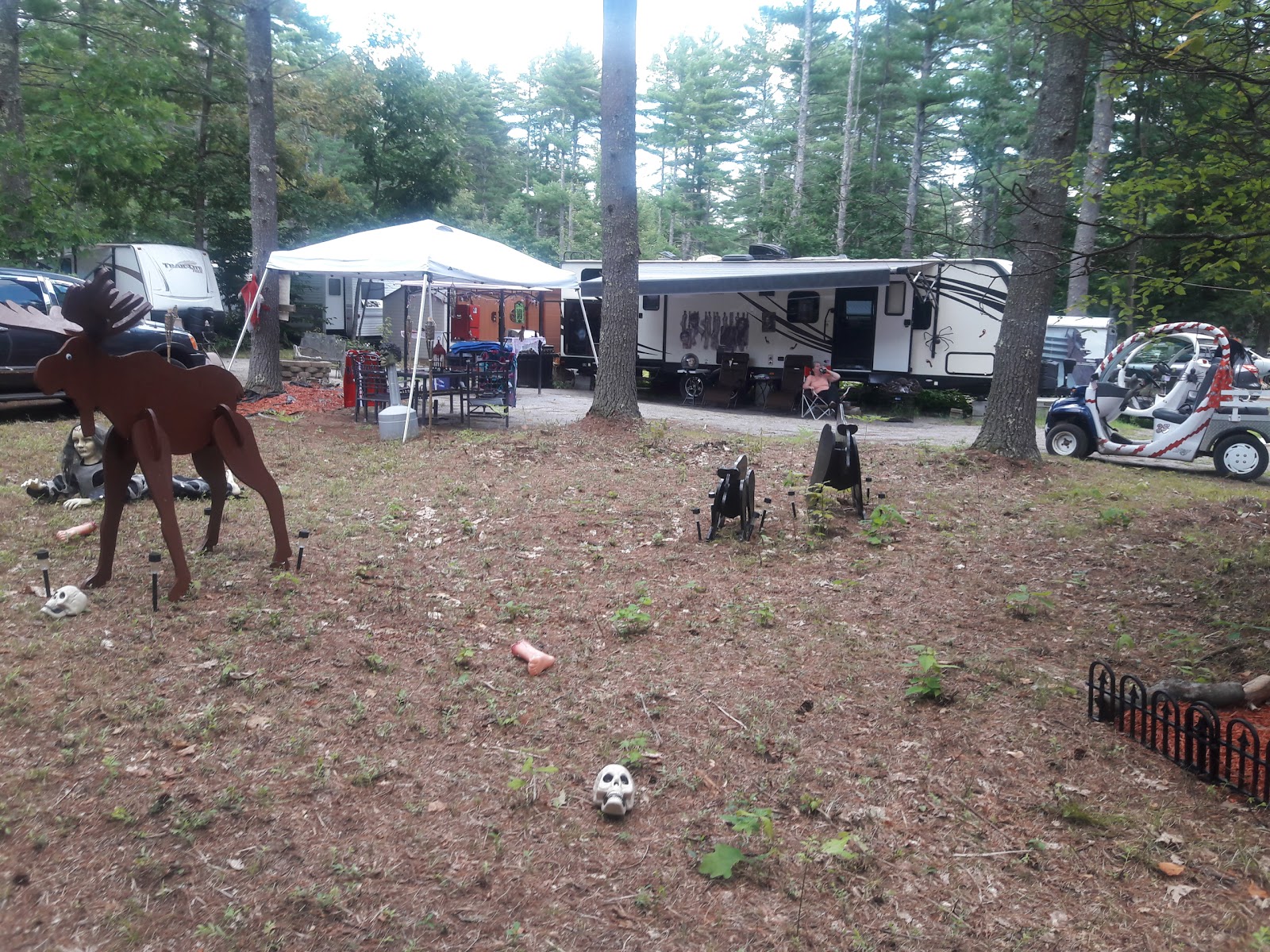 Salmon Falls River Camping Resort