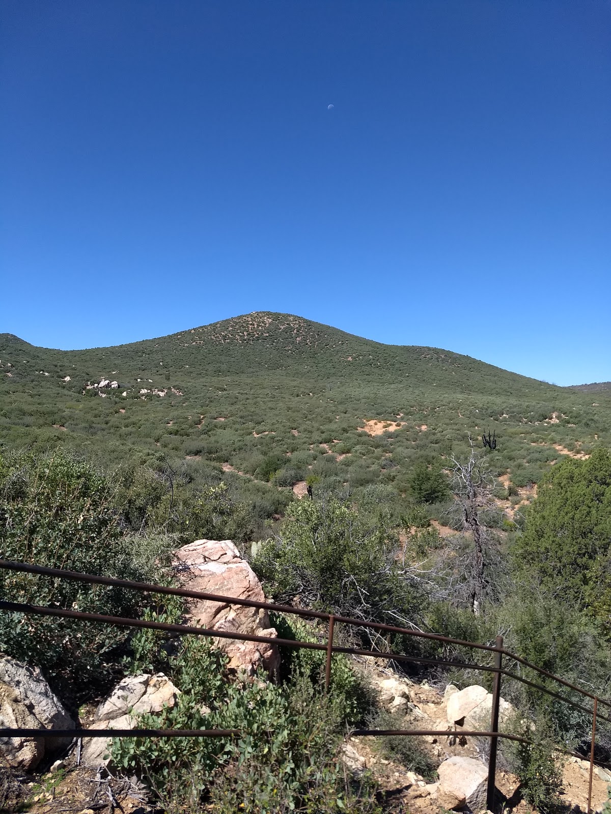 Powell Springs Campground