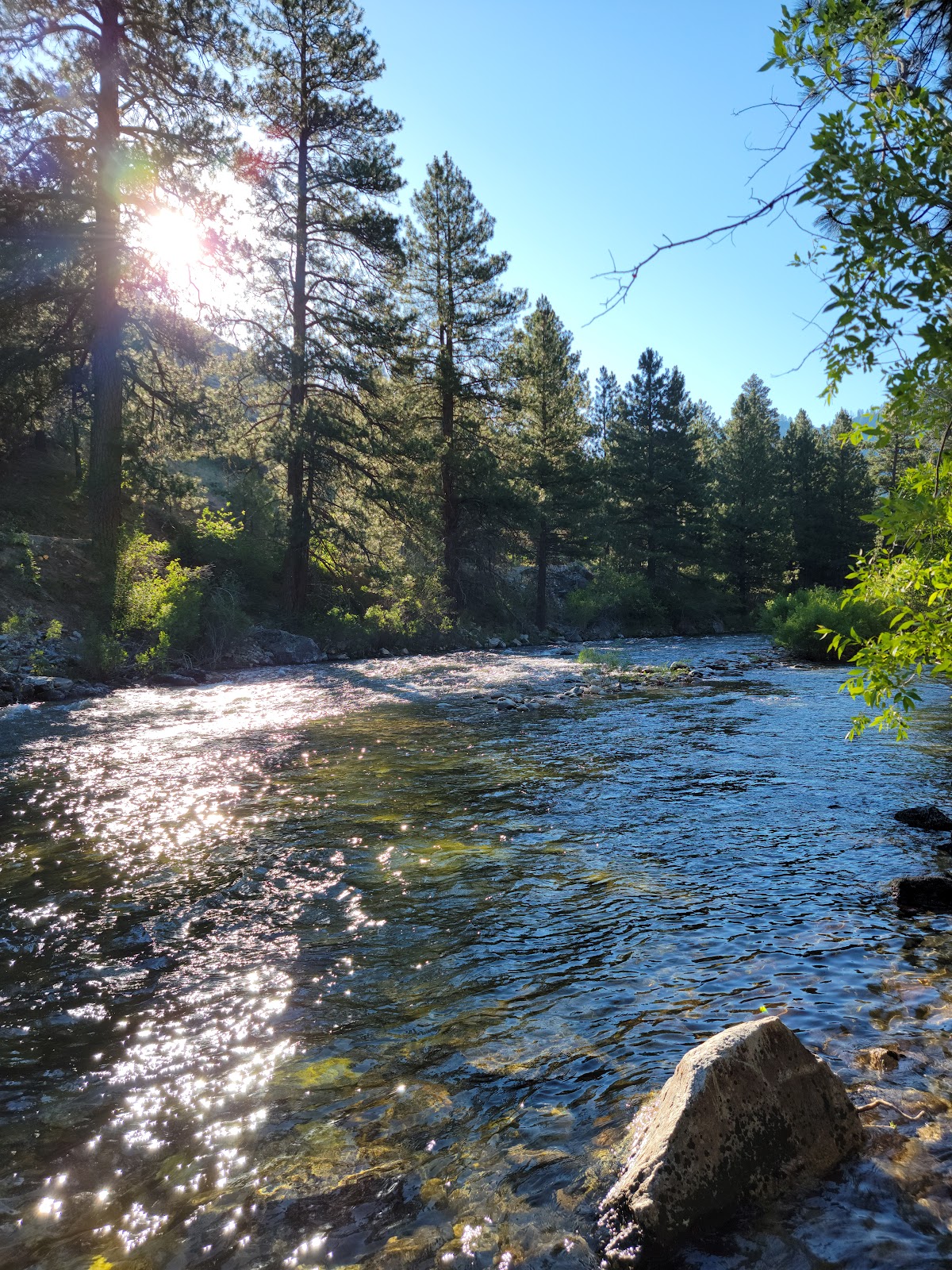 Baumgartner Campground