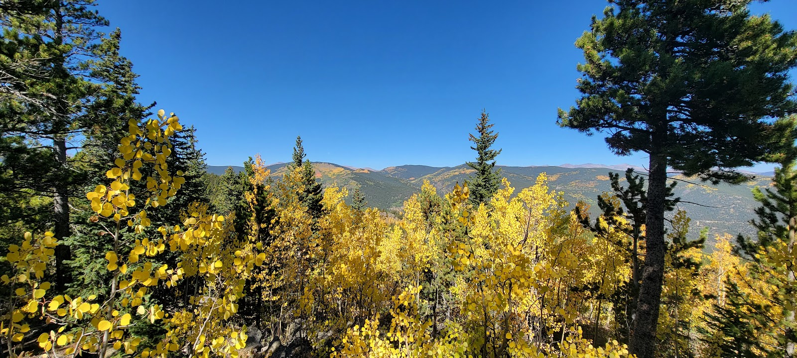 Pickle Gulch Group Area
