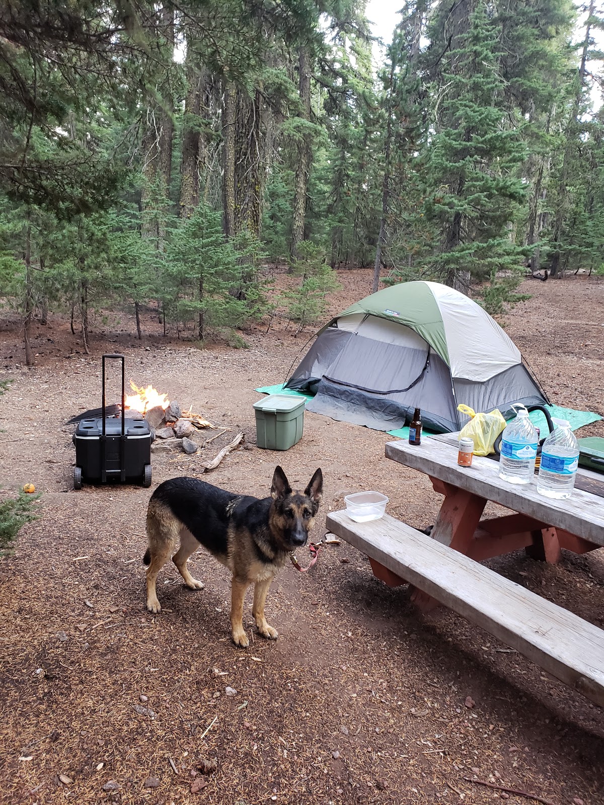 Digit Point Campground