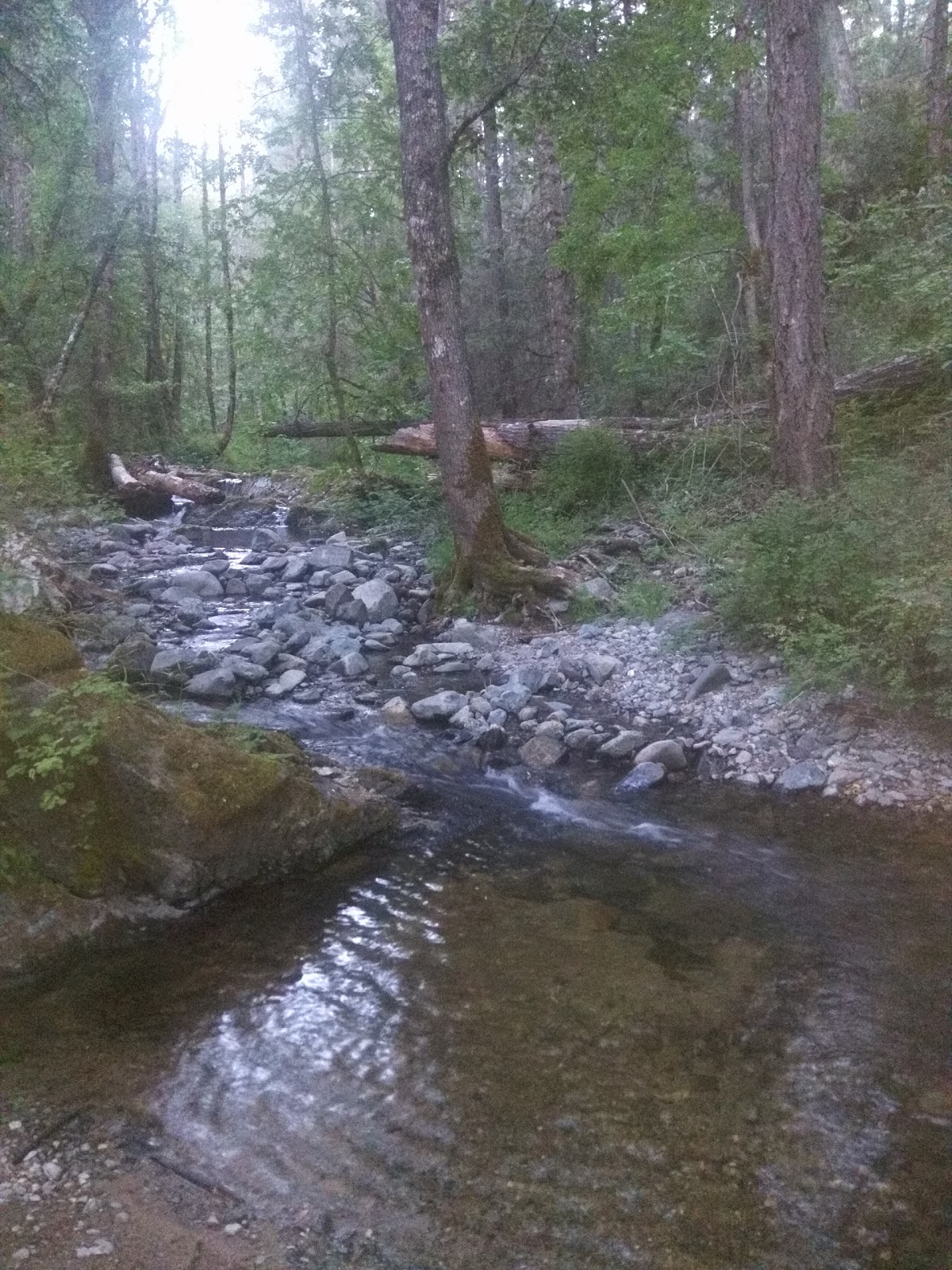 Beaver Sulphur Campground