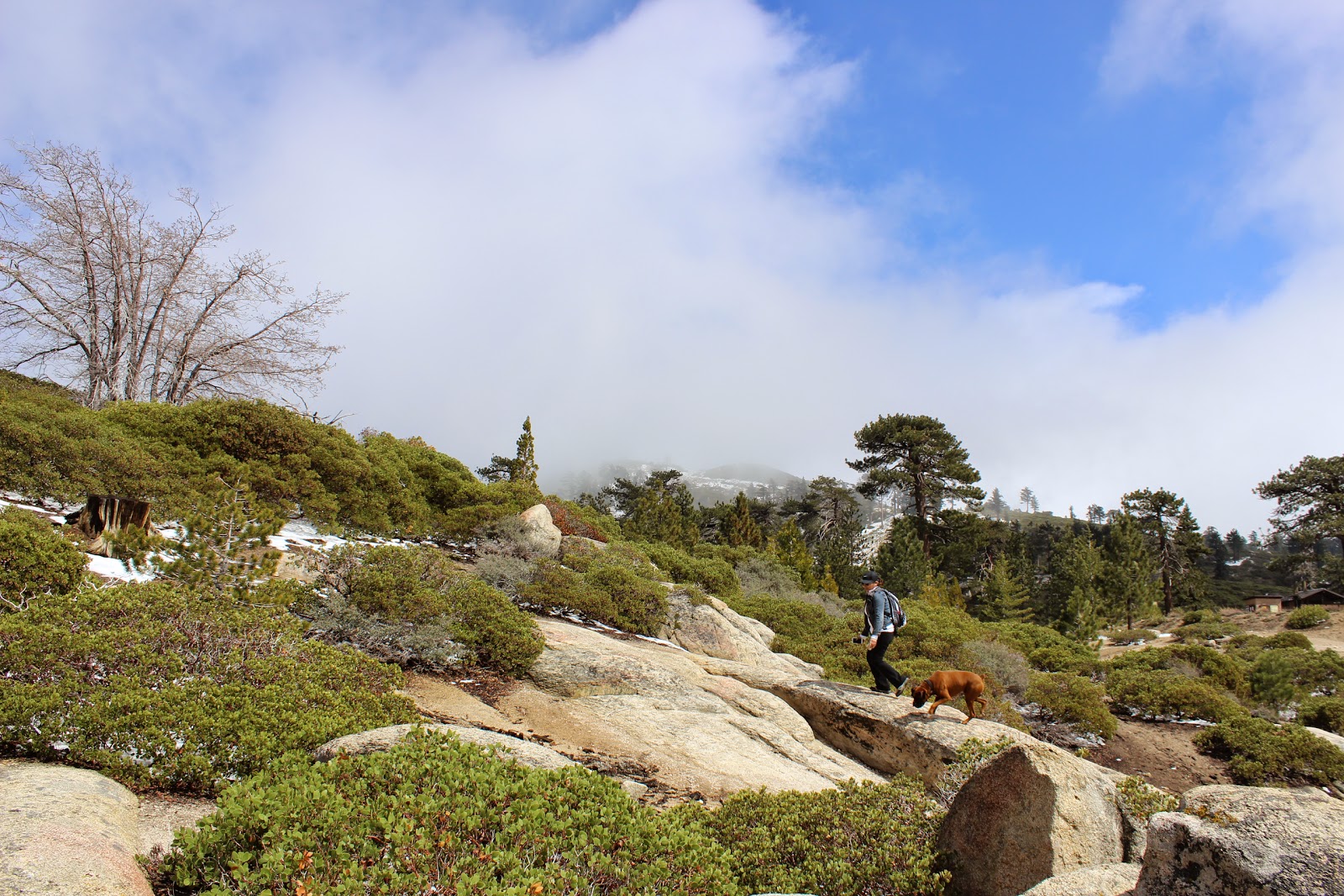 Shady Cove Group Campground