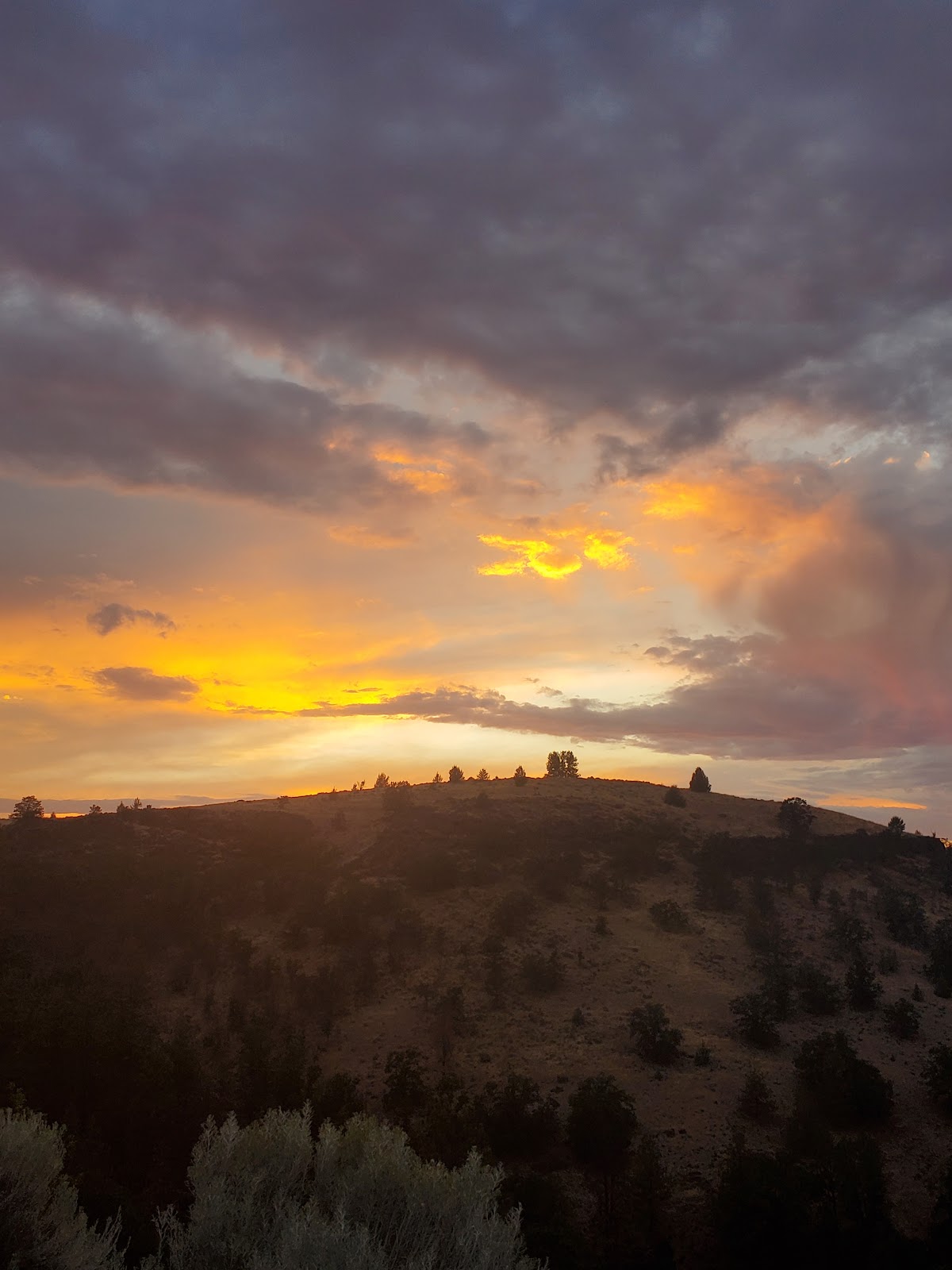 Hunt Park - Wasco County