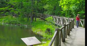 Crowley Ridge Campground