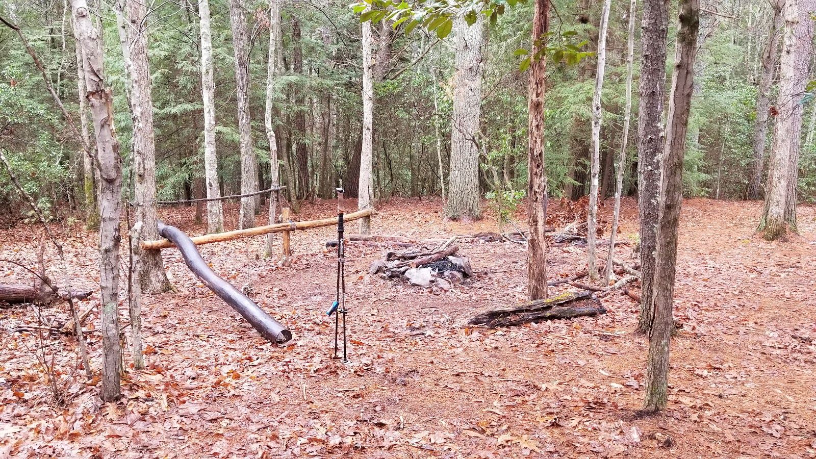 Little Possum North Campsite