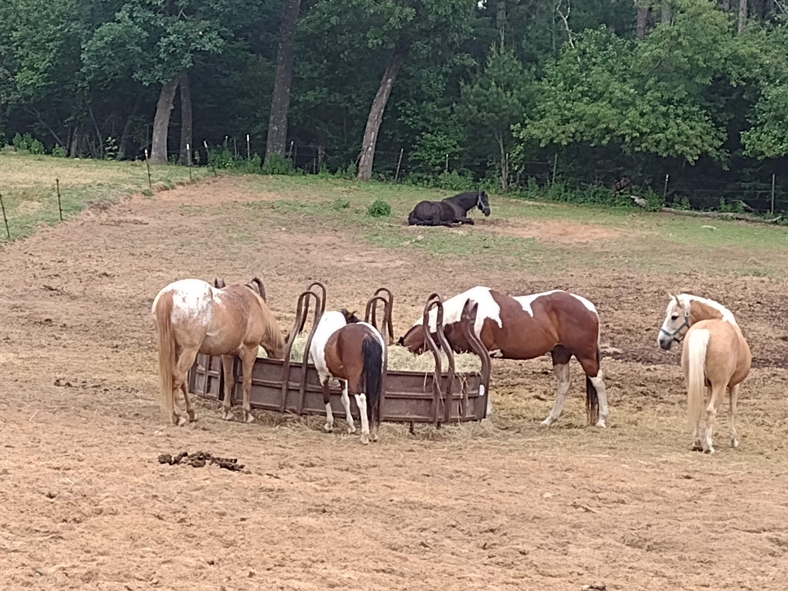 Wild West Campground & Corral