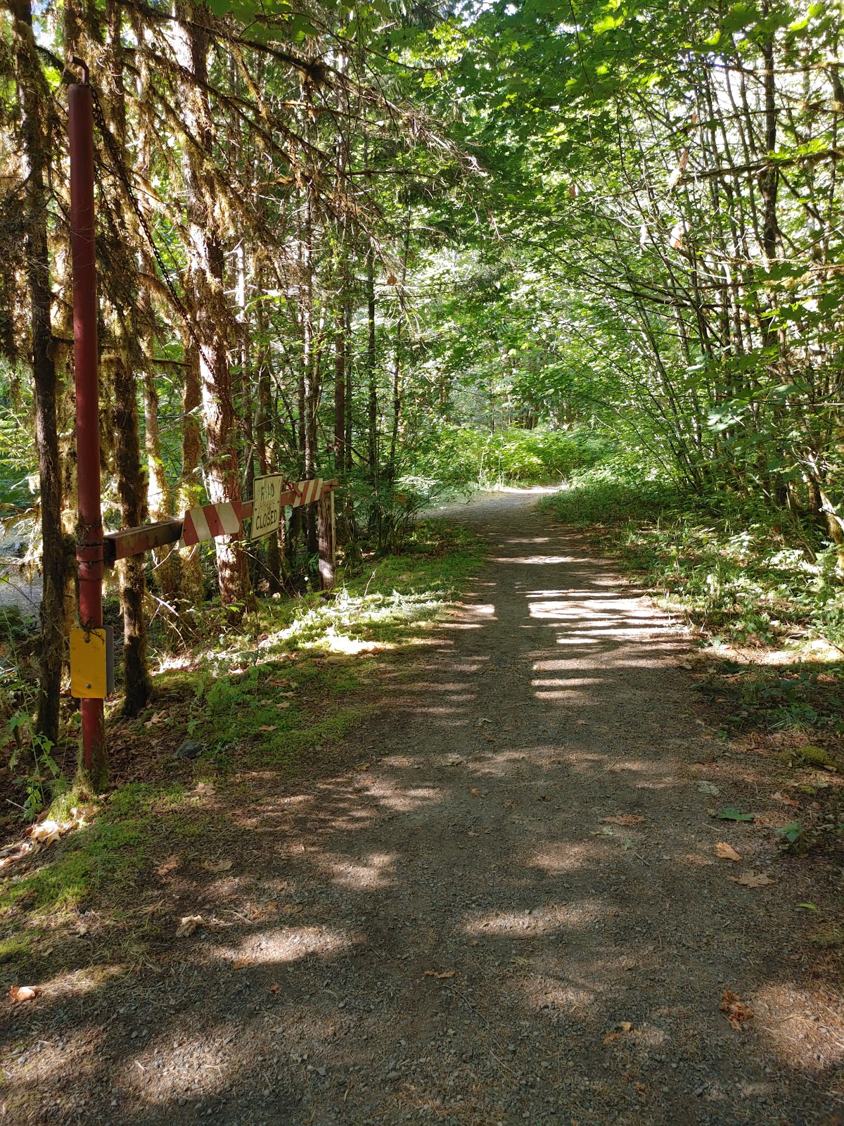 Elkhorn Dispersed Camping Area
