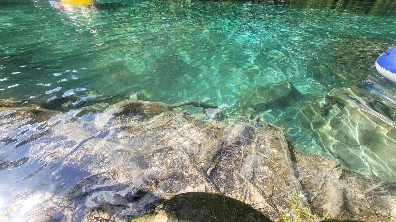 Ginnie Springs Resort