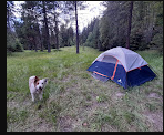 Bake Oven Campground