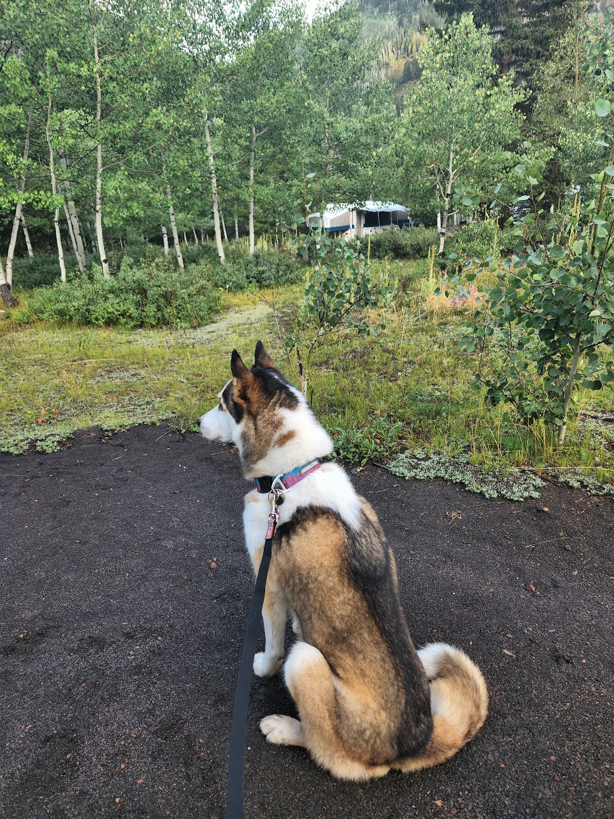 Iron Mine Campground