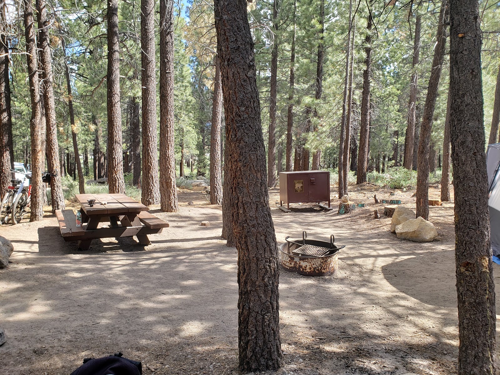 Agnew Meadows Campground
