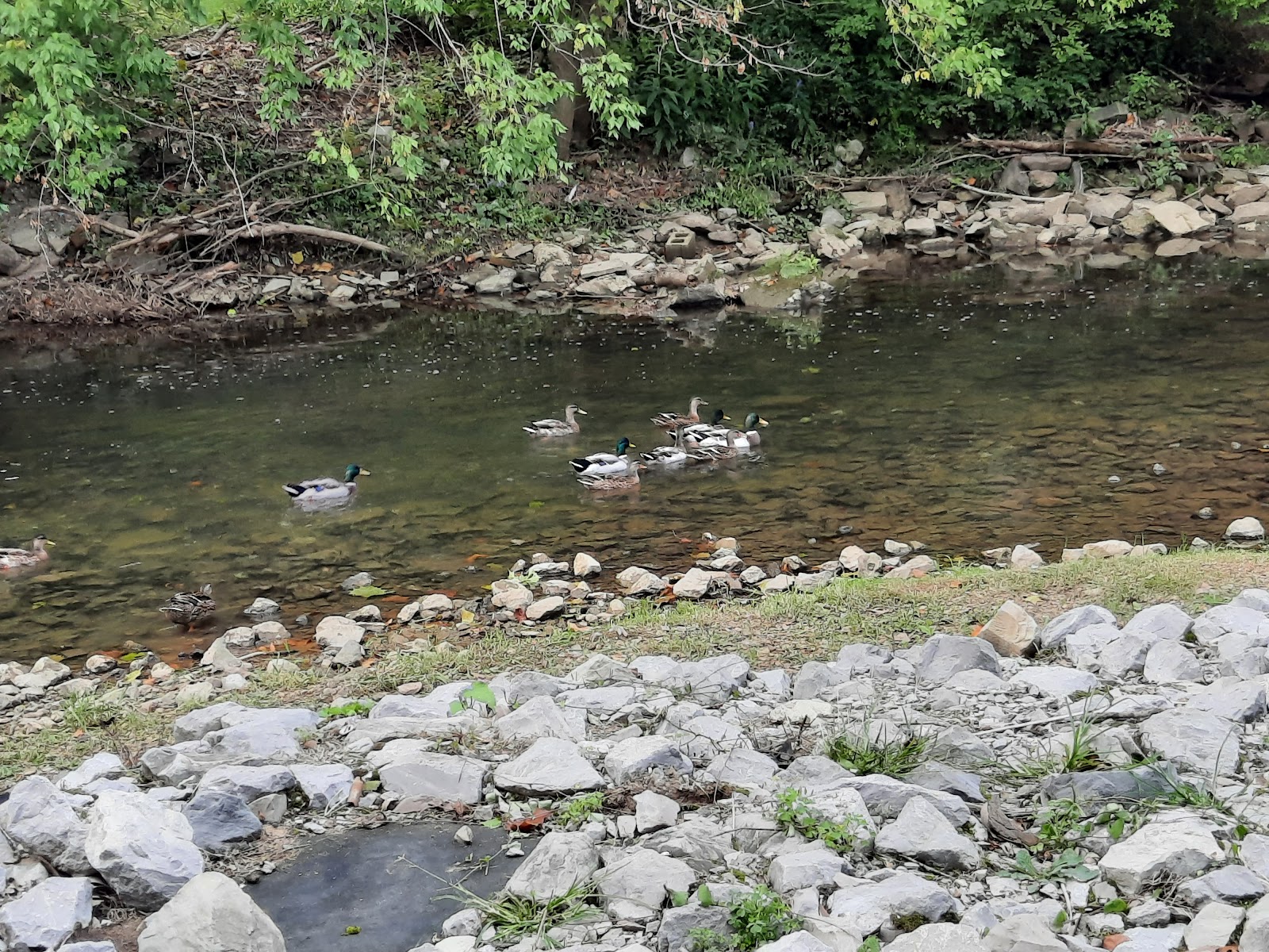 Jessie Lea RV Park & Campground