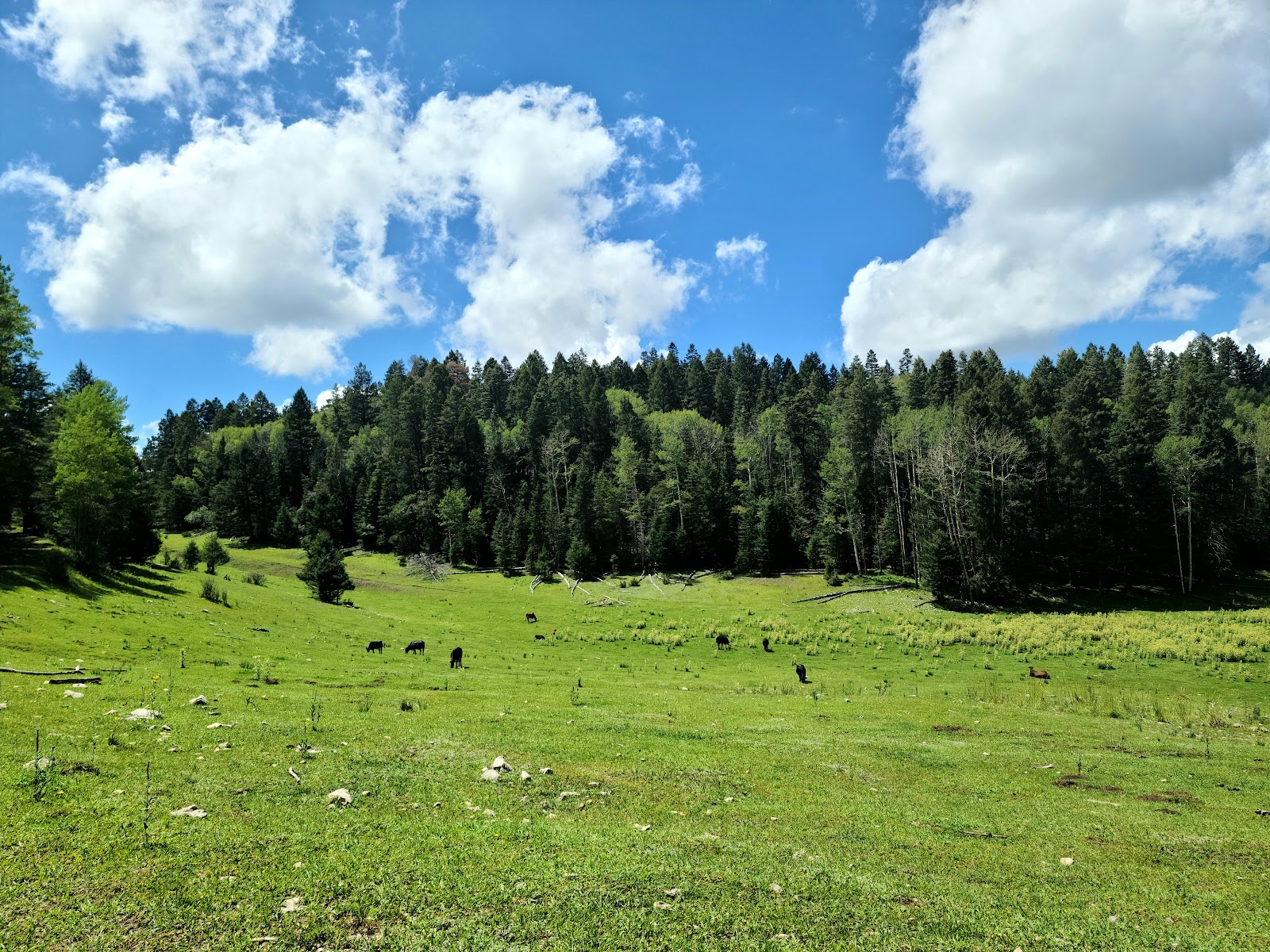 Upper Karr Campground