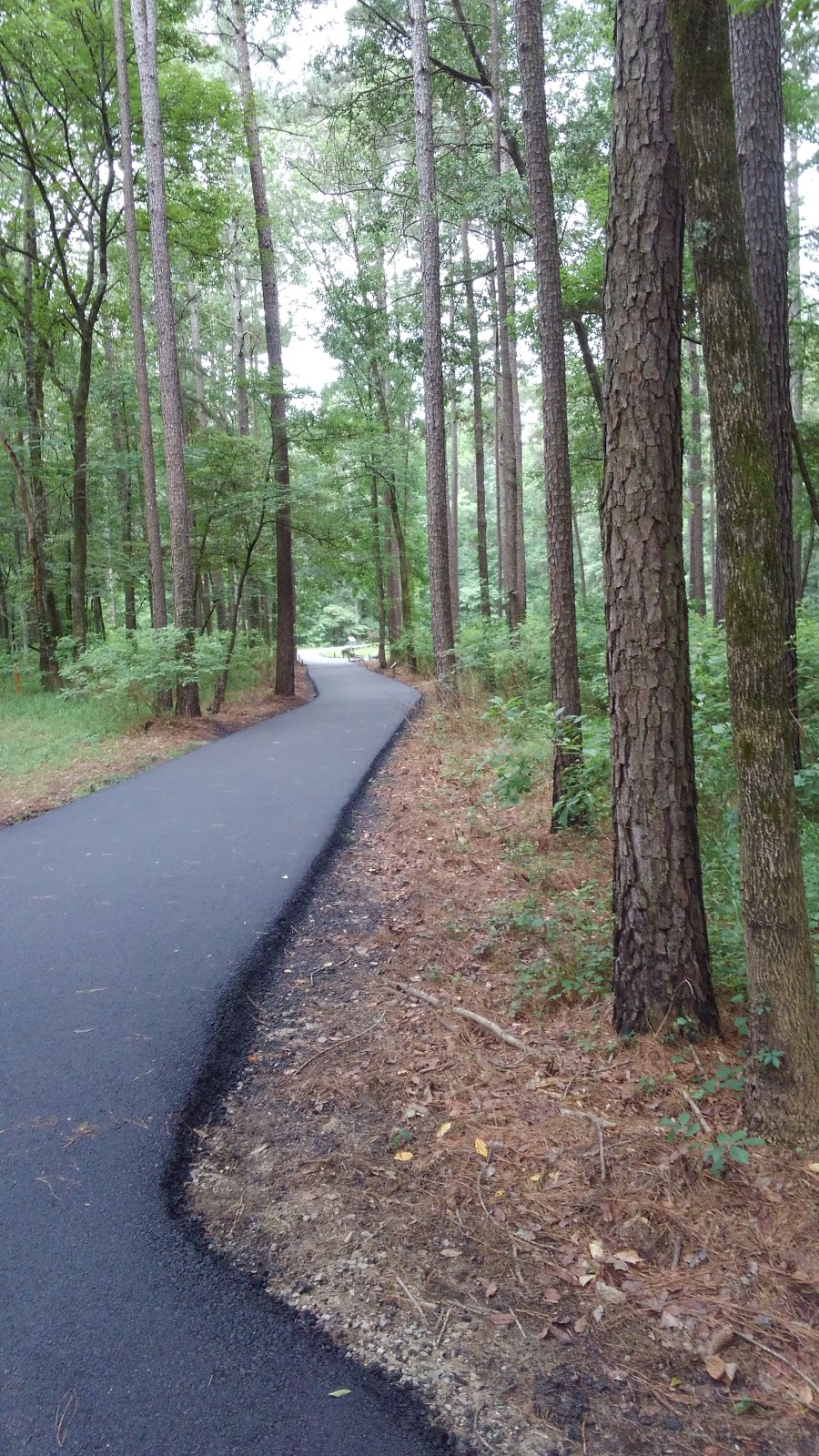 Felsenthal National Wildlife Refuge