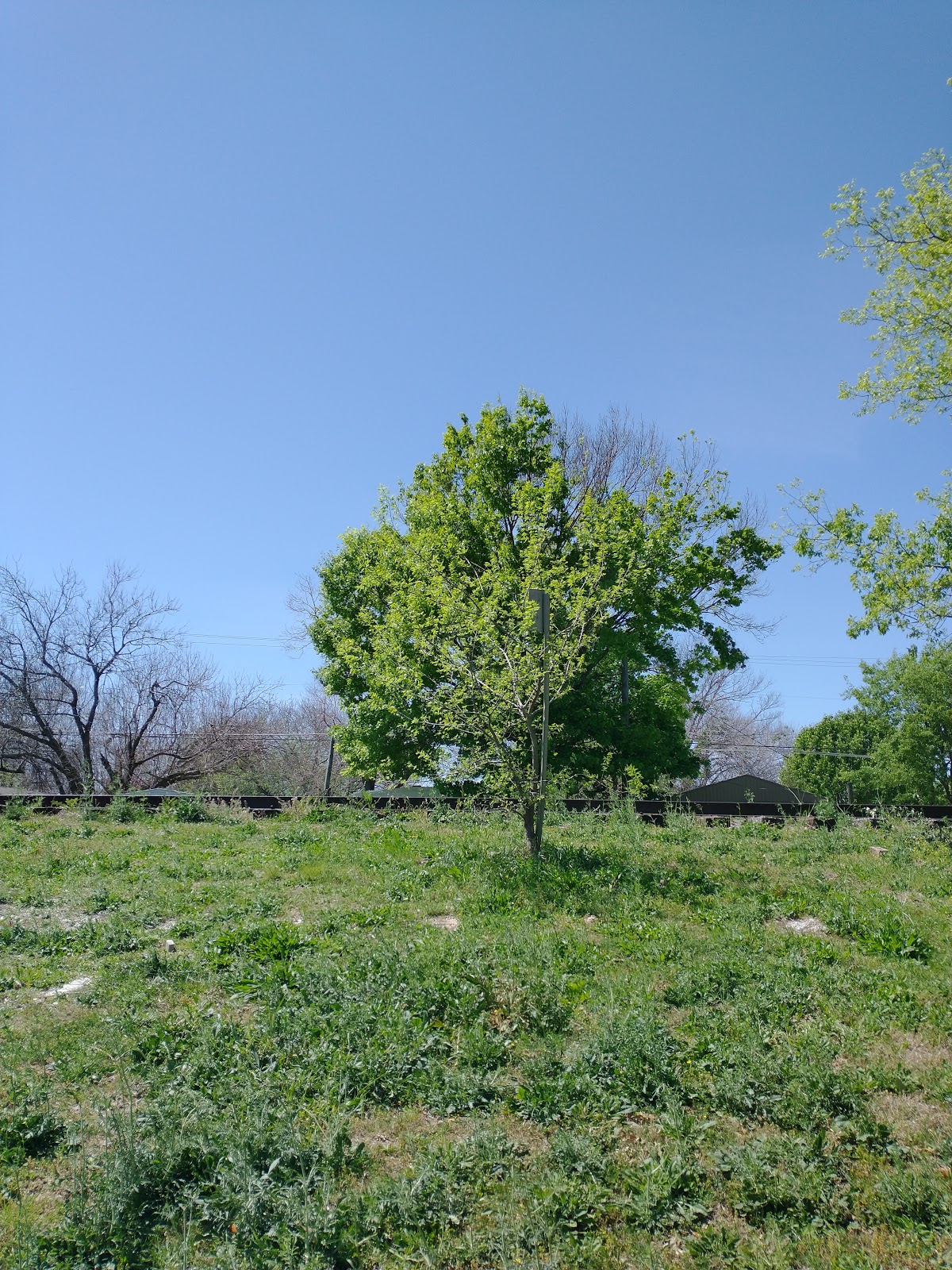 Spring Creek Village RV Park