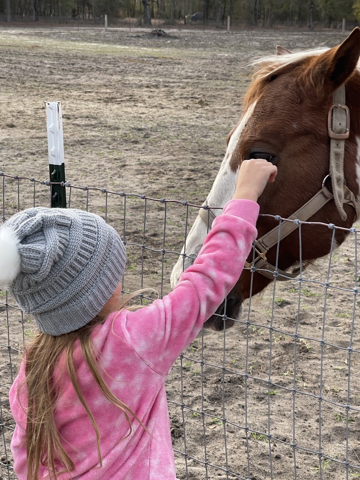 Hidden Forest RV Club