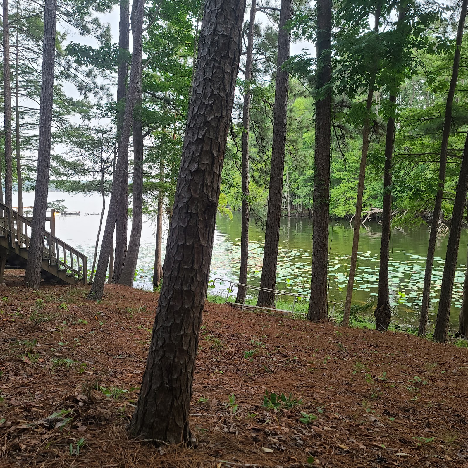 Mill Creek Bay RV Park