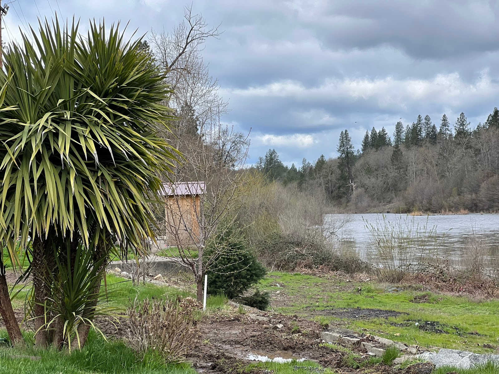 Have-A-Nice-Day Campground