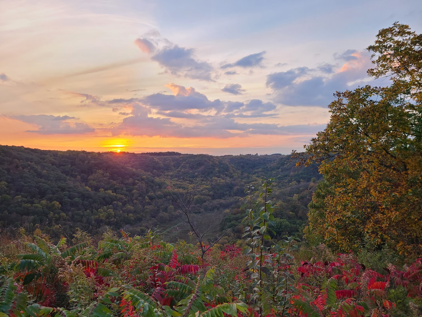 Great River Bluffs State Park