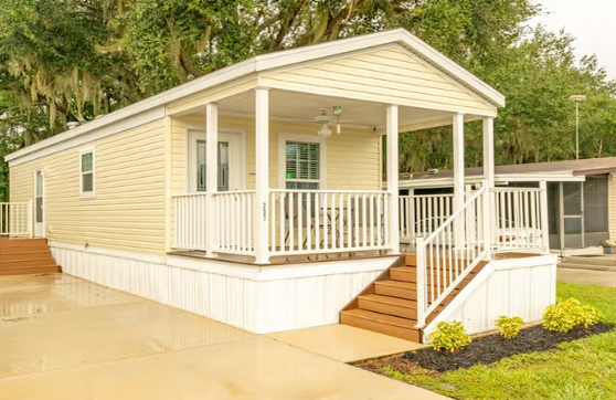 Big Tree (Age Restricted 55+)