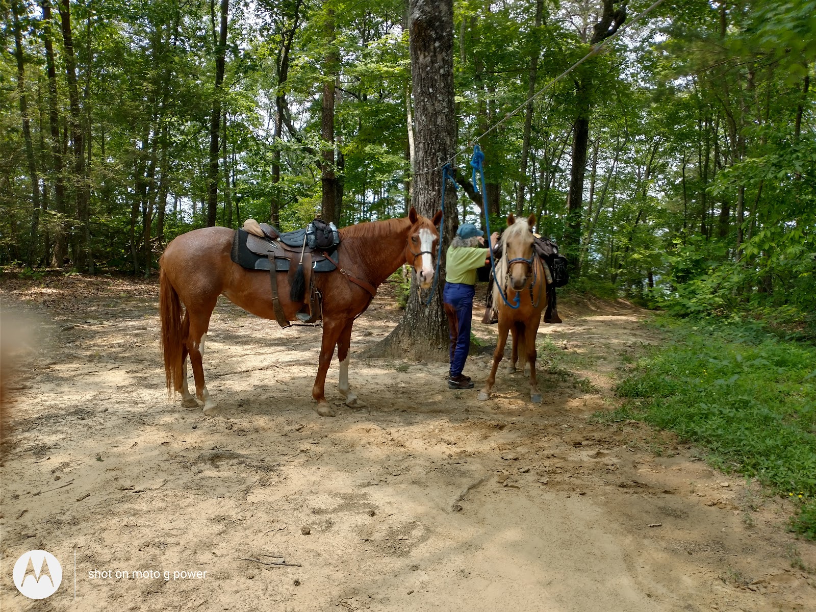 East Fork Resort & Stables