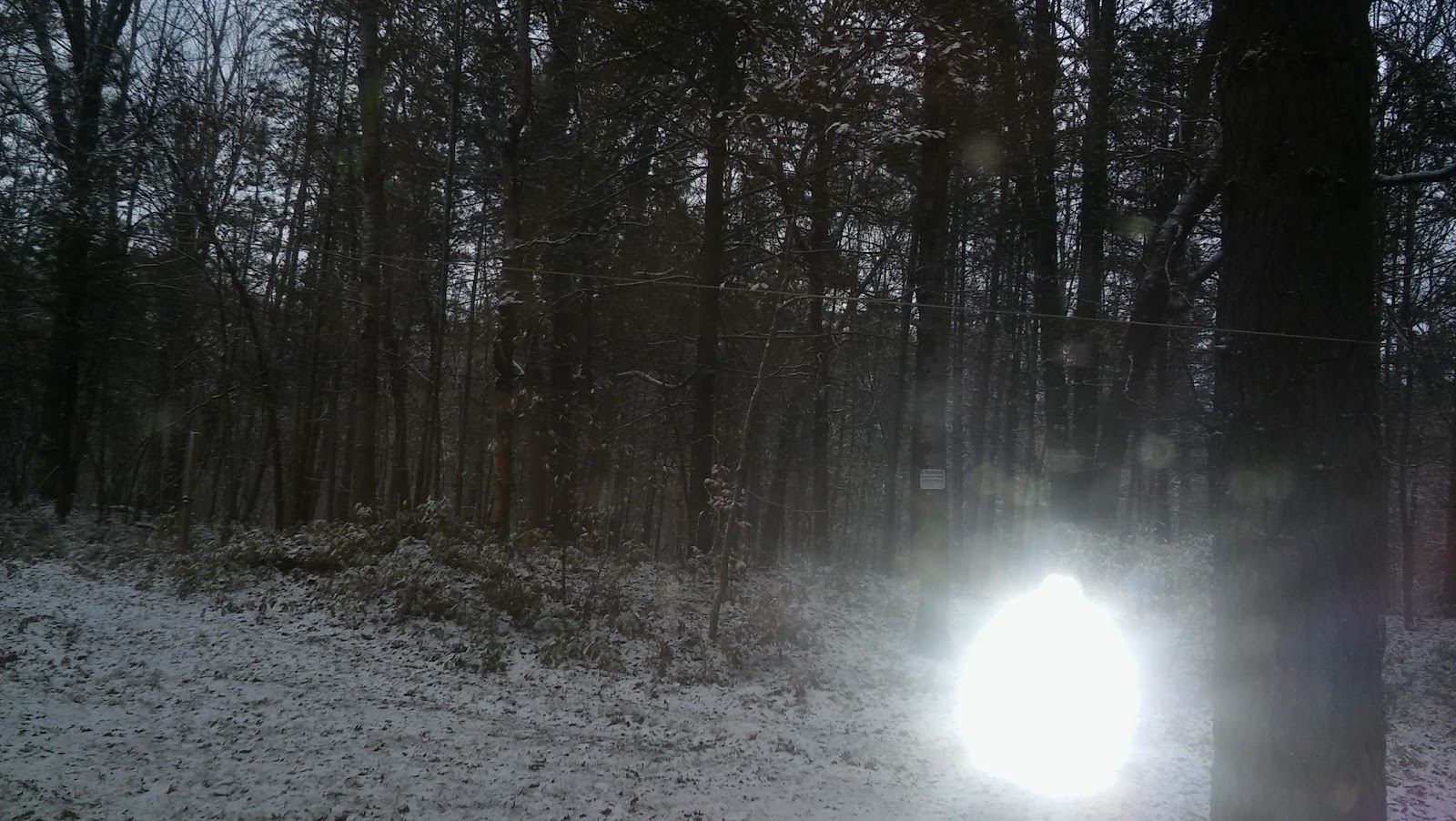 Carrieville SF Campground