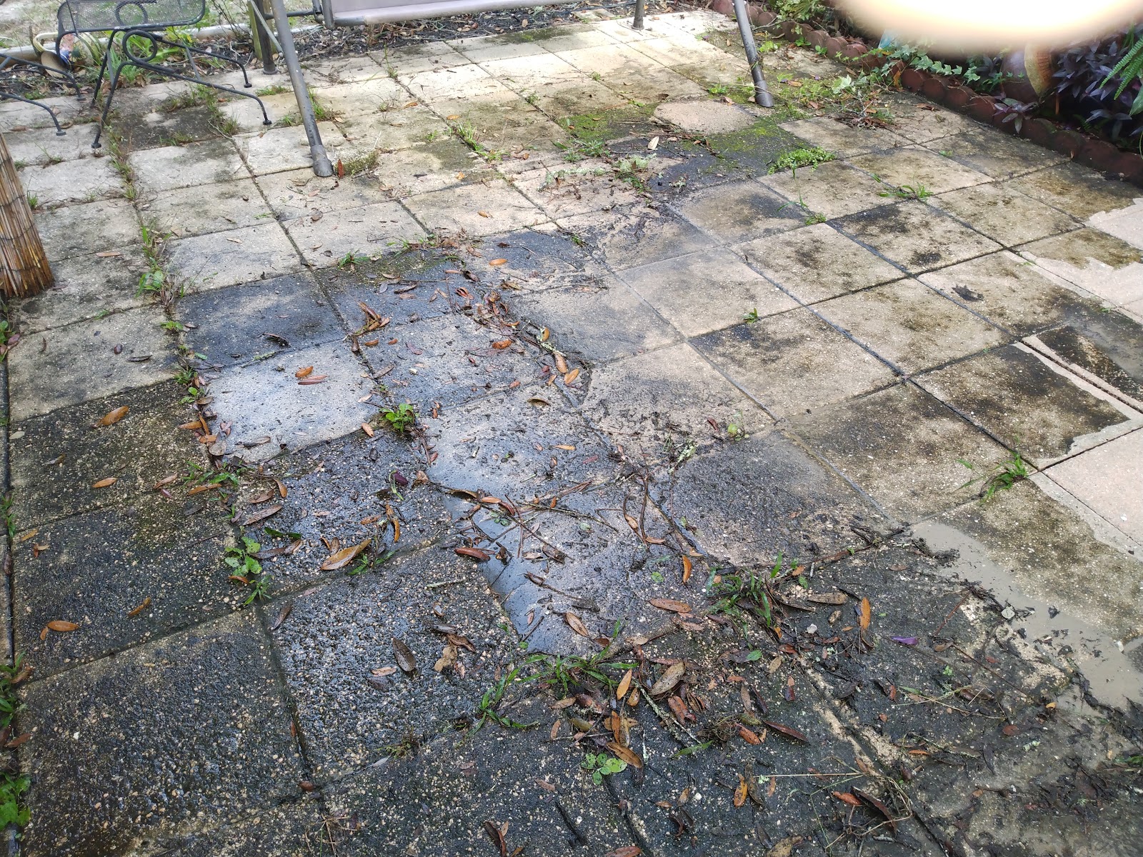 Ridge Manor 55+ Campground