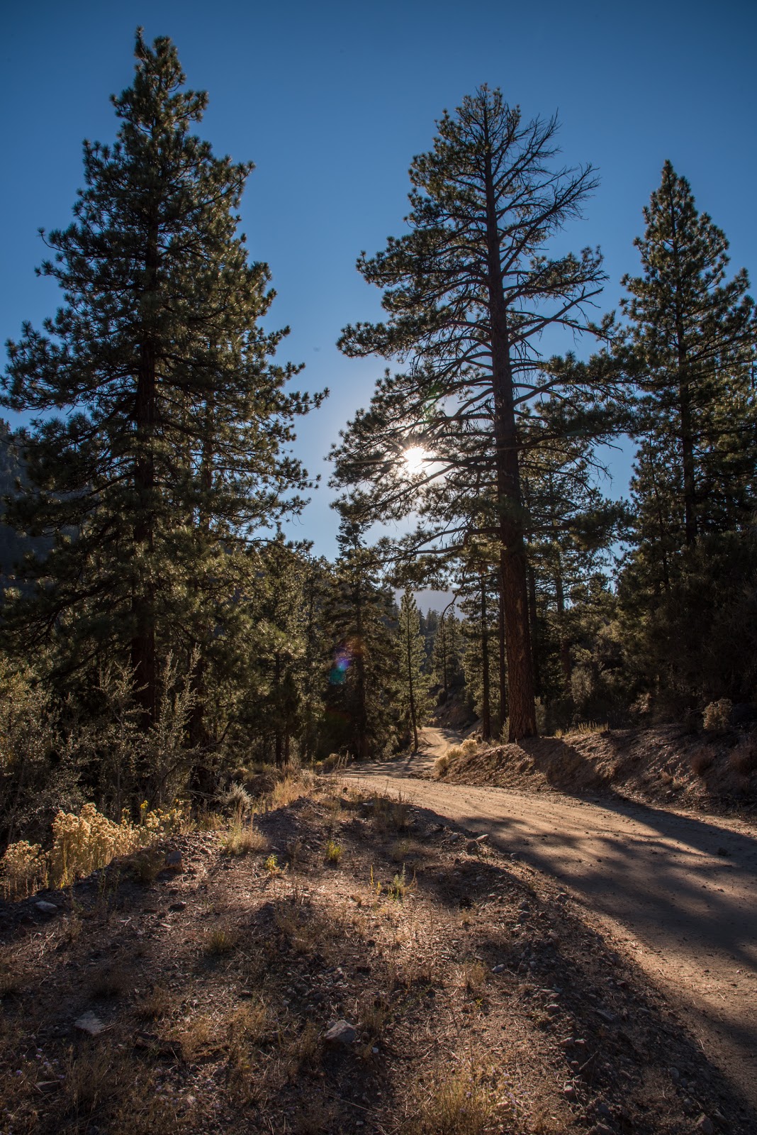 Wild Horse Equestrian Campground