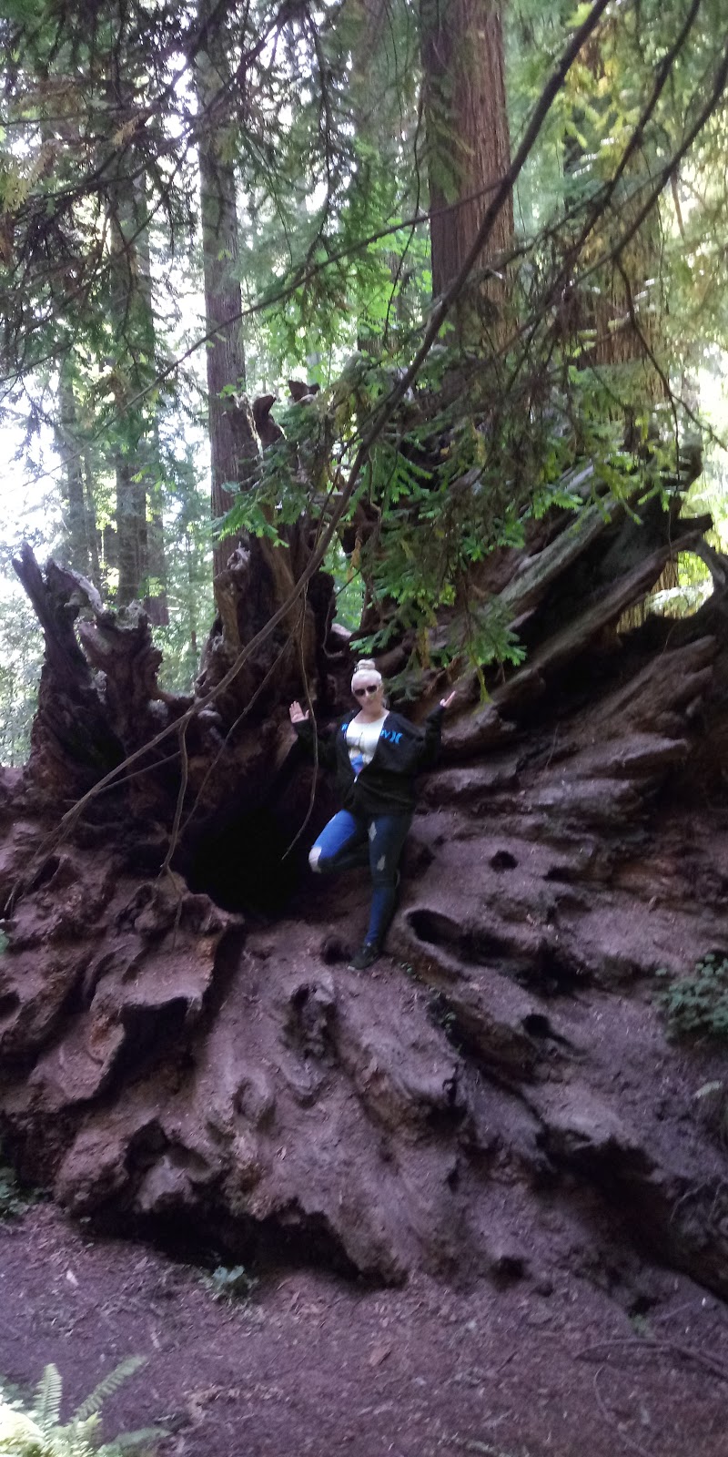 Van Duzen County Park