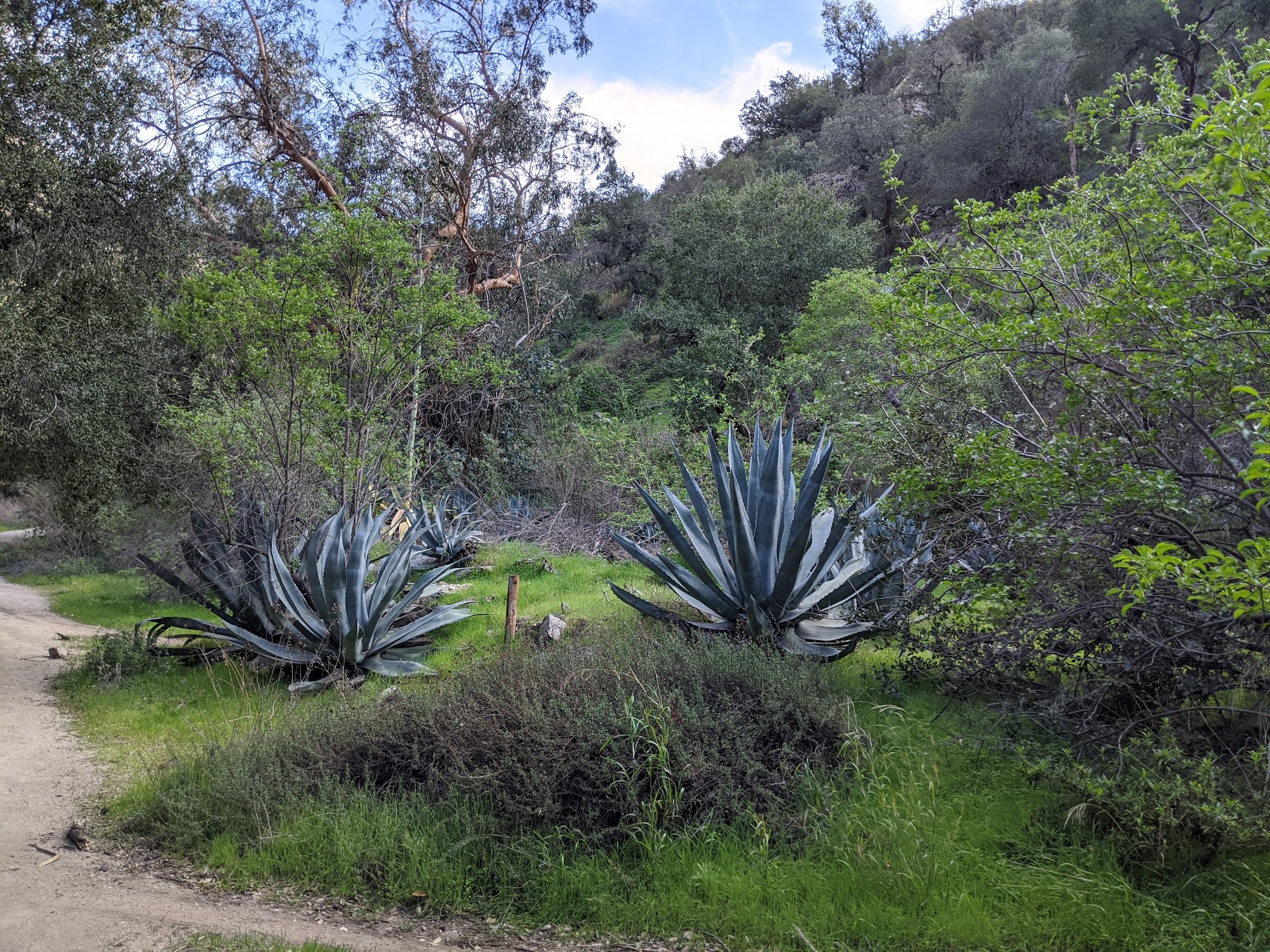 Gould Mesa Trail Camp