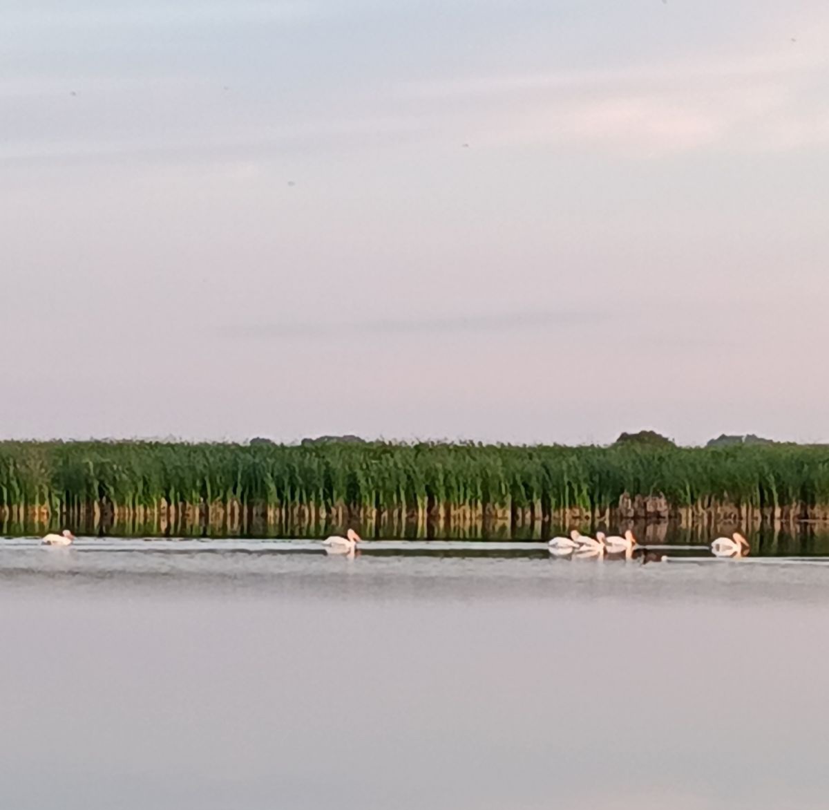 NorthGate Dam Campground
