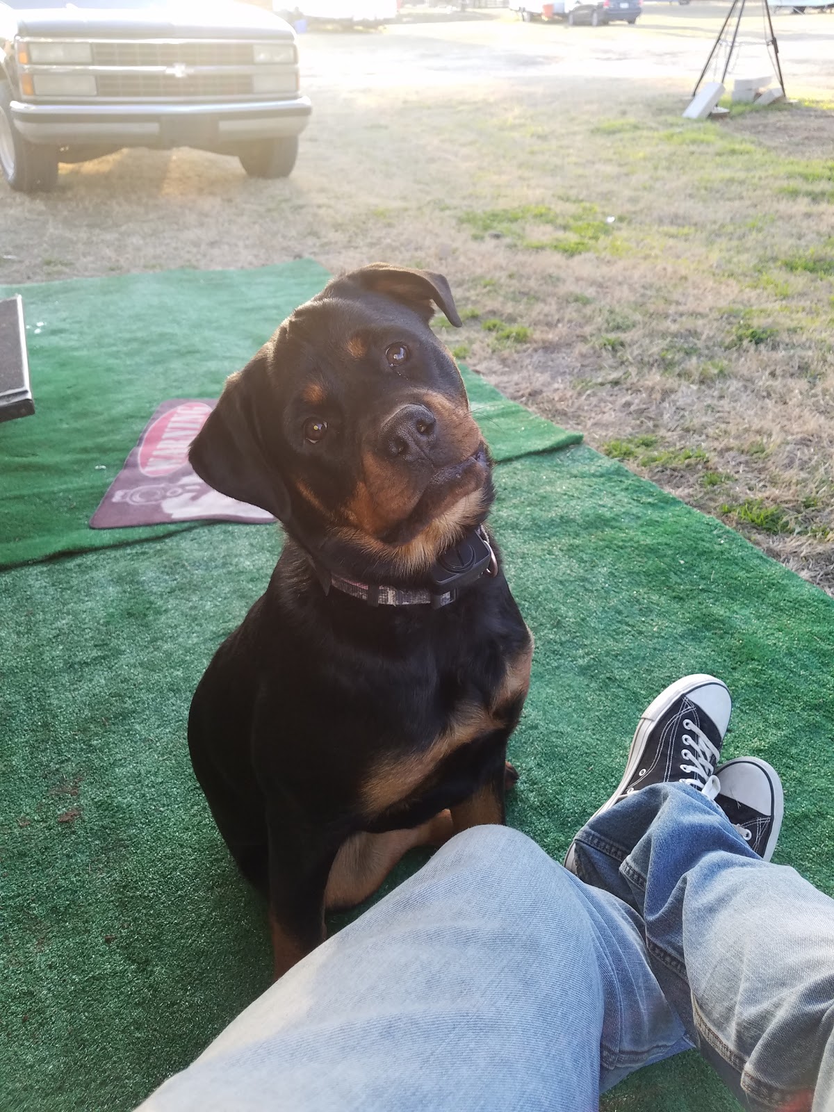 Cappy's Cove RV Park