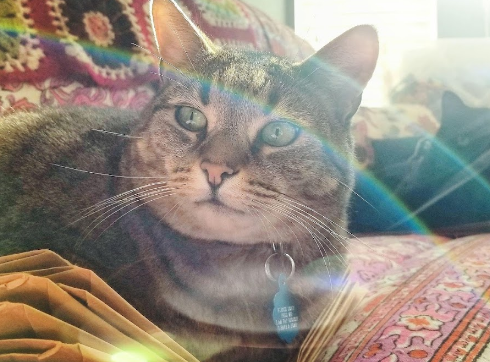 Fogarty Creek RV Park