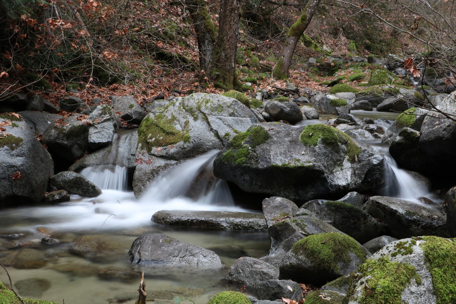 Crystal Creek Primitive Campground