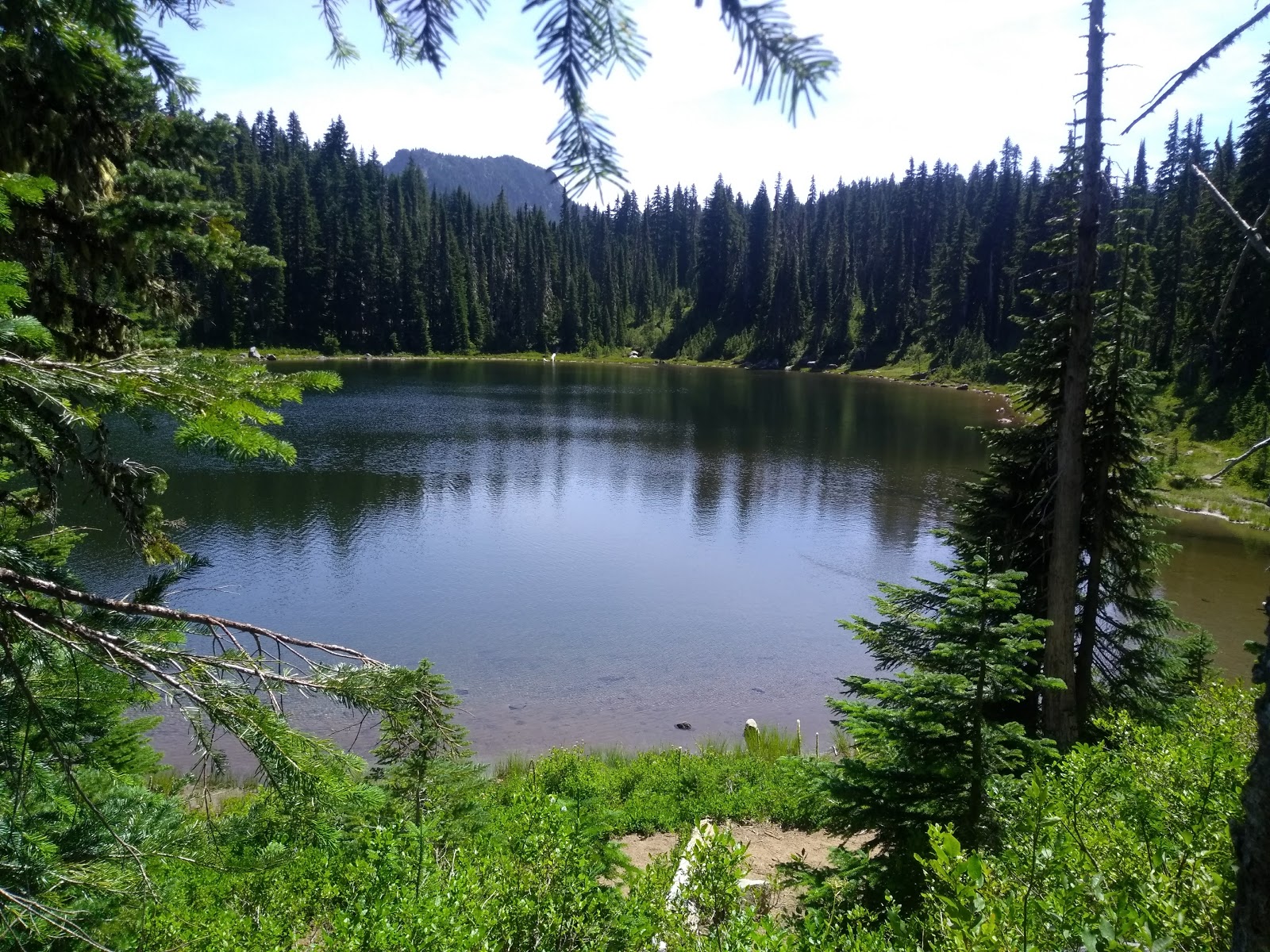 Cultus Creek Campground