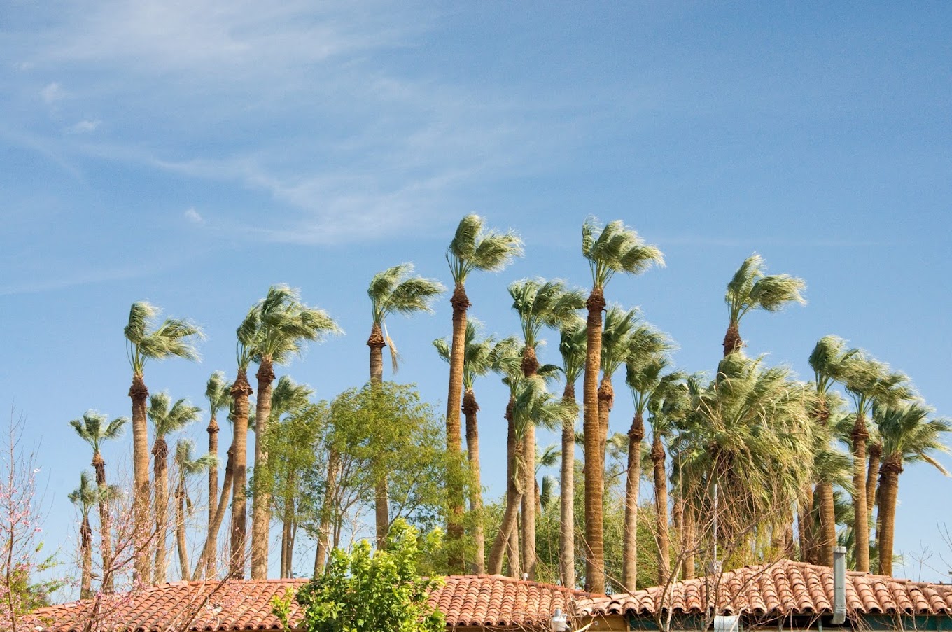 Rolle’s Lynda Vista RV Resort