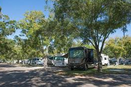 Encore RV Park-Tampa North