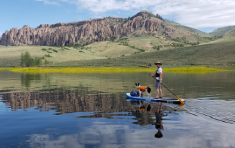 Stevens Creek - Curecanti National Recreation Area