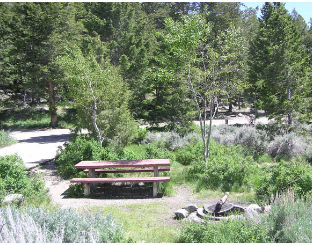 Pinedale Campground