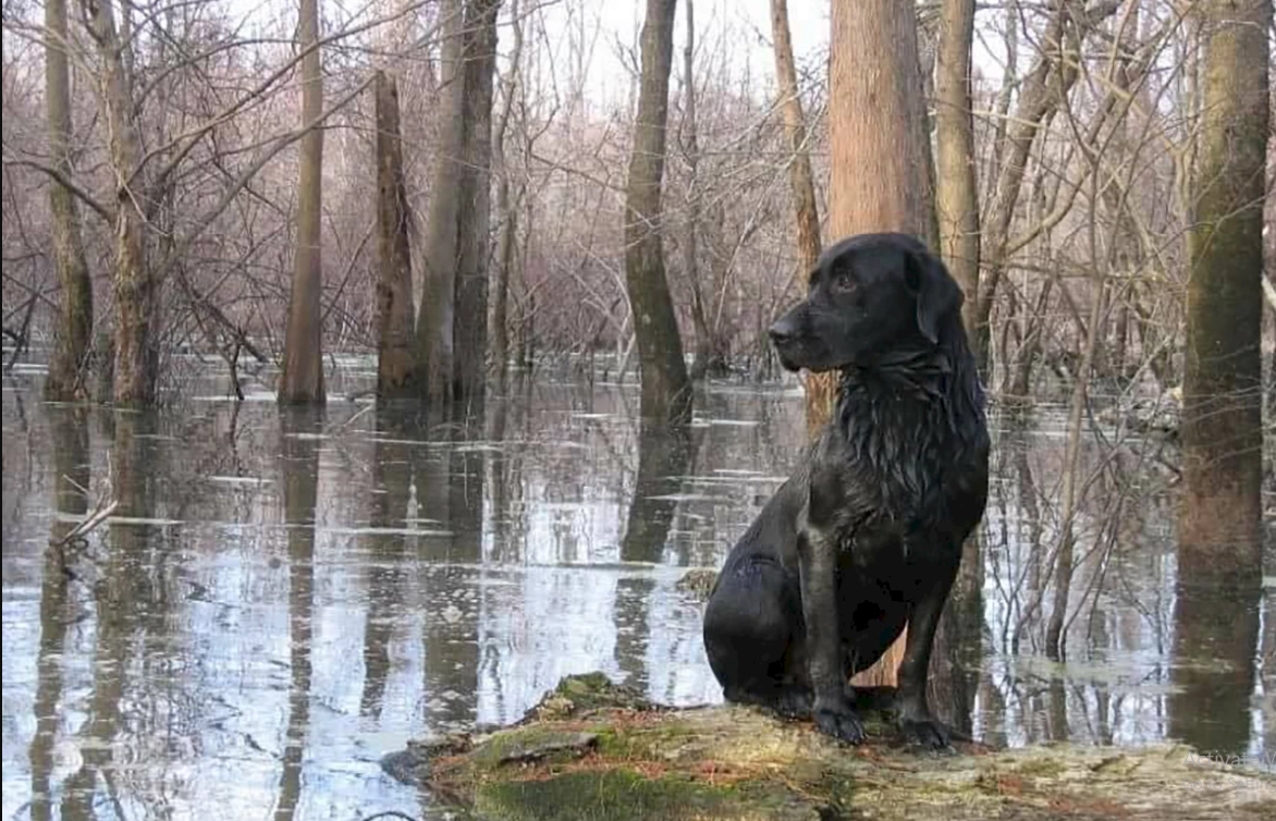 LaCotts Hunting Lodge