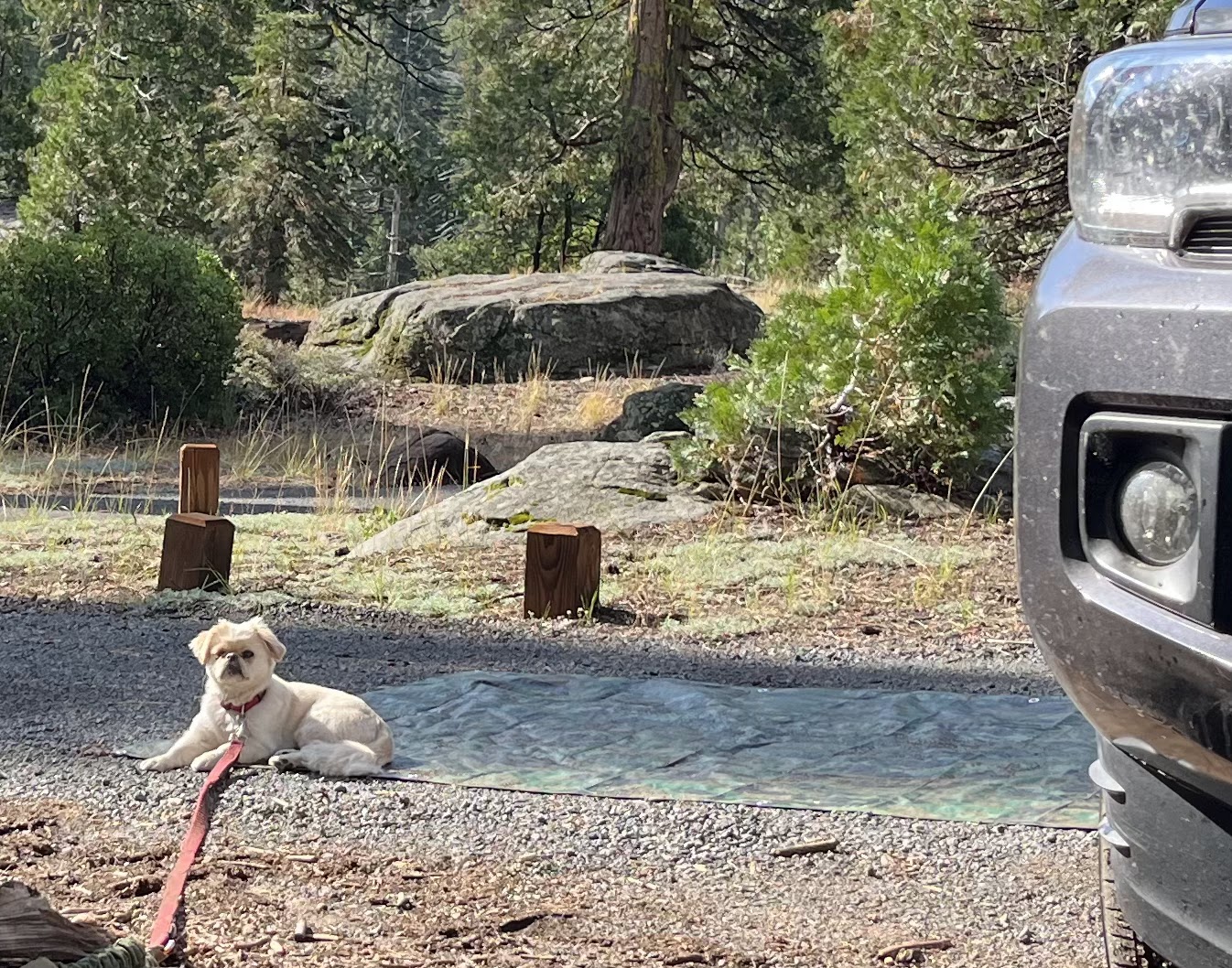 Cascade Creek Campground