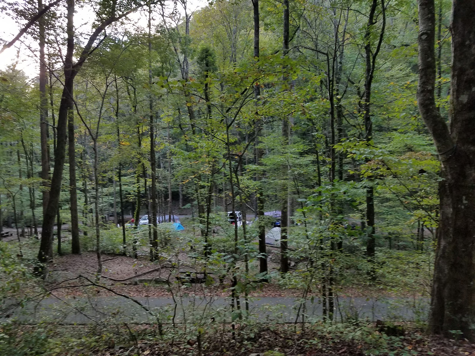 Andrews Cove Campground