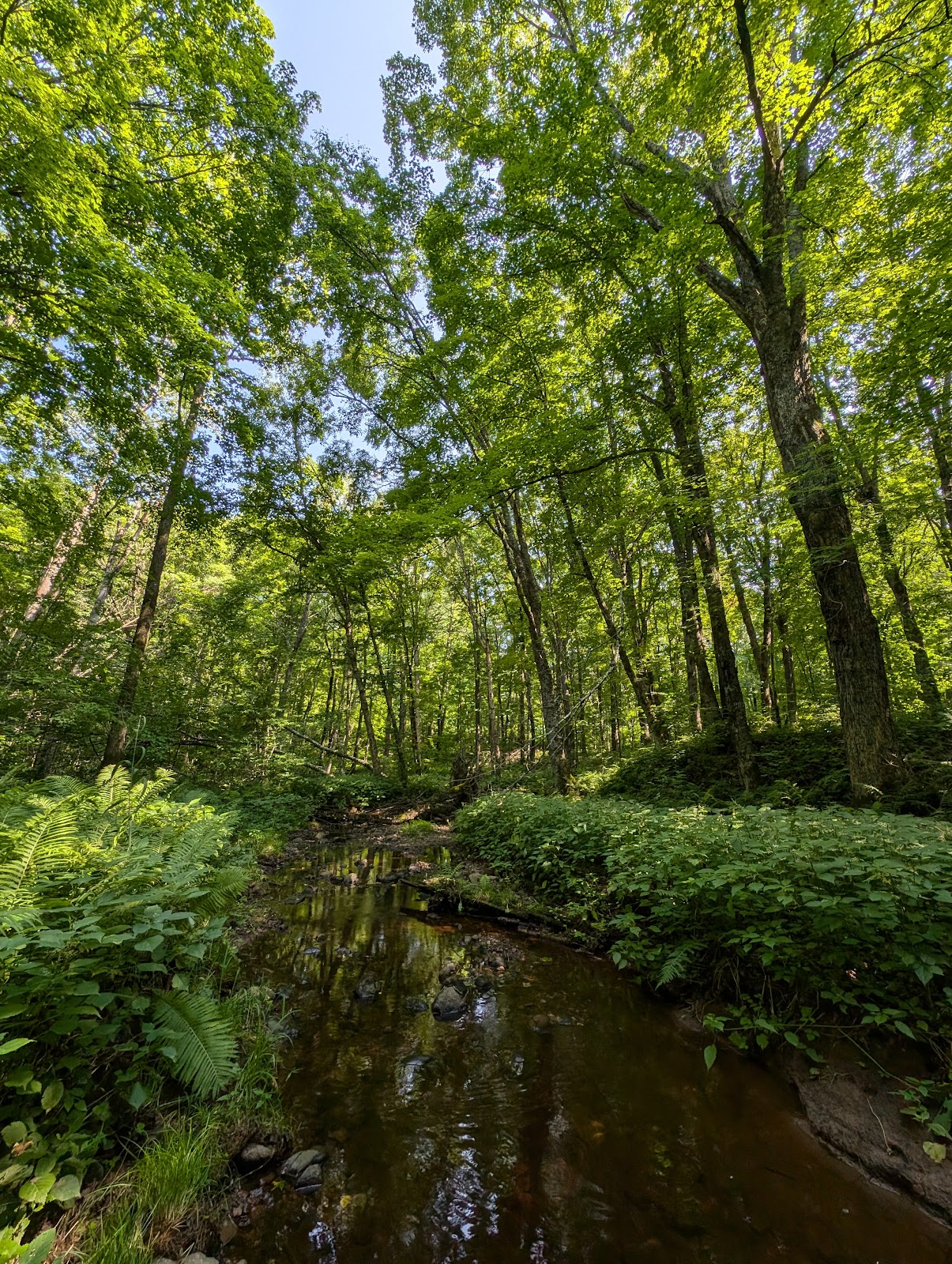 Flambeau River State Forest Headquarters