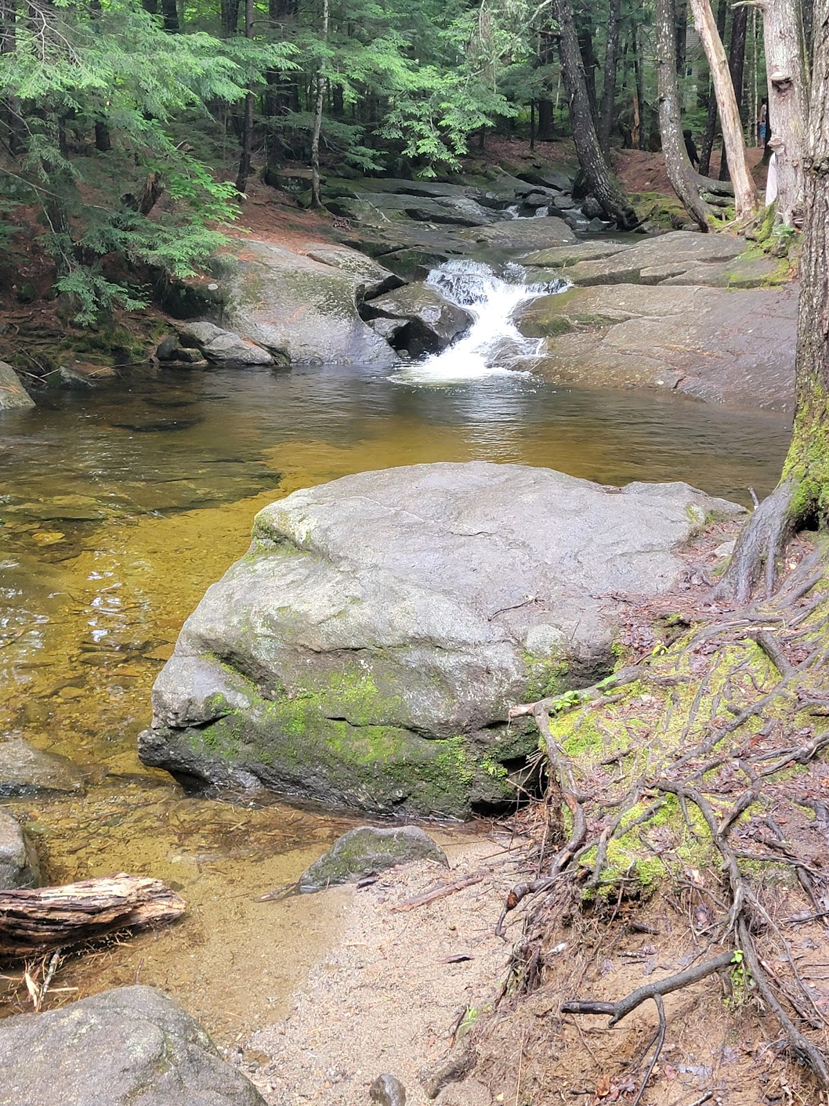 Moose Hillock Camping Resort